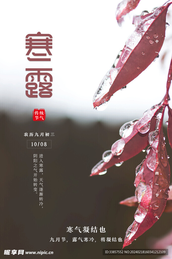 寒露海报           