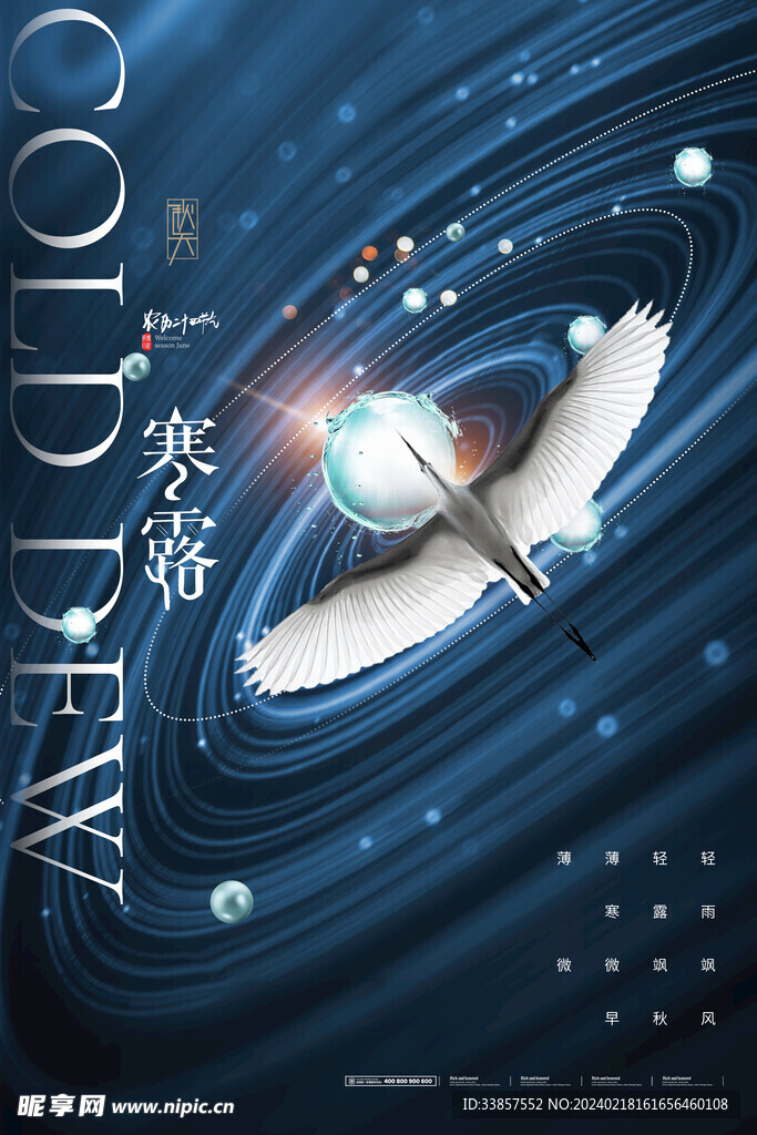 寒露海报           