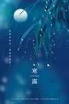 寒露海报           