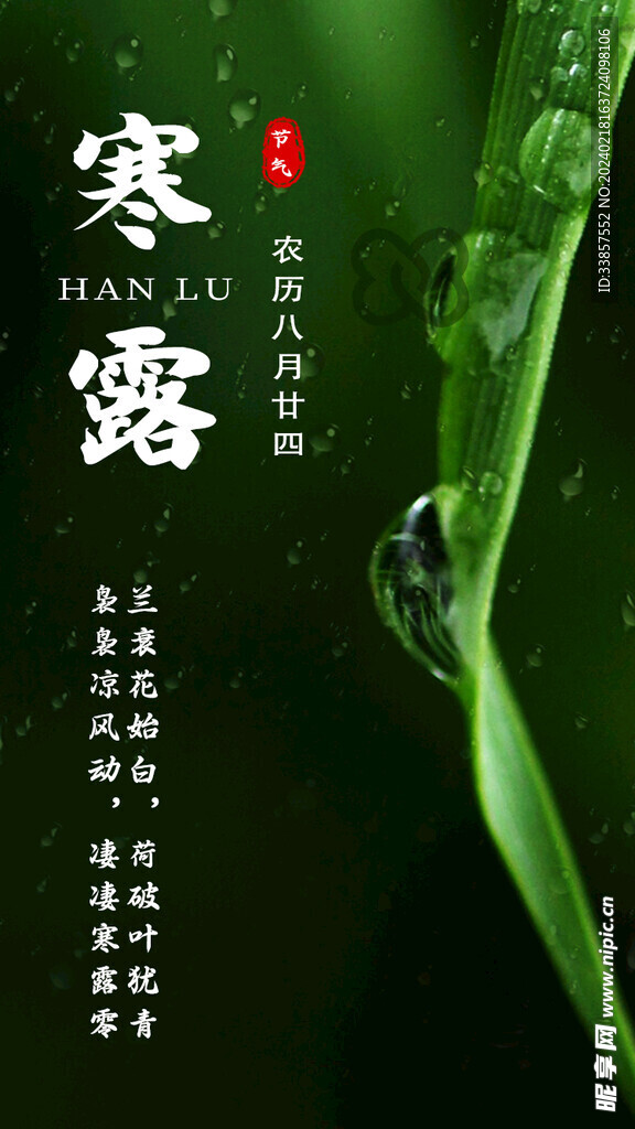 寒露海报           