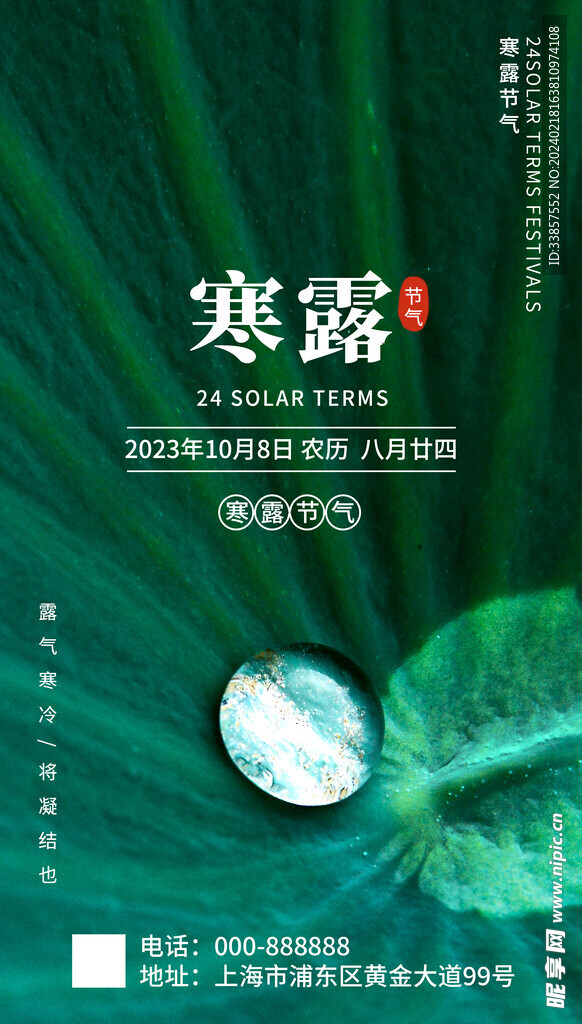 寒露海报           
