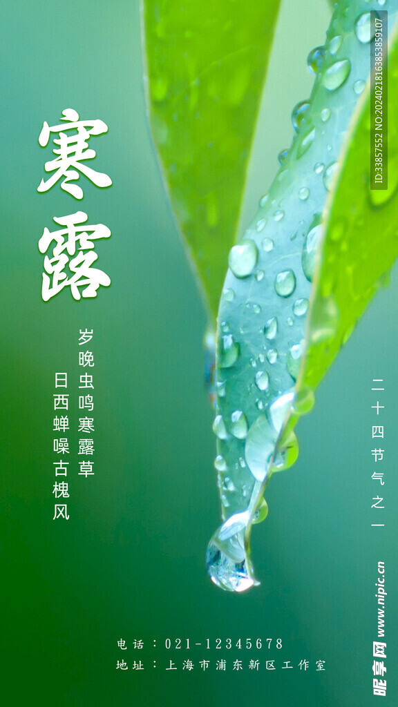 寒露海报           