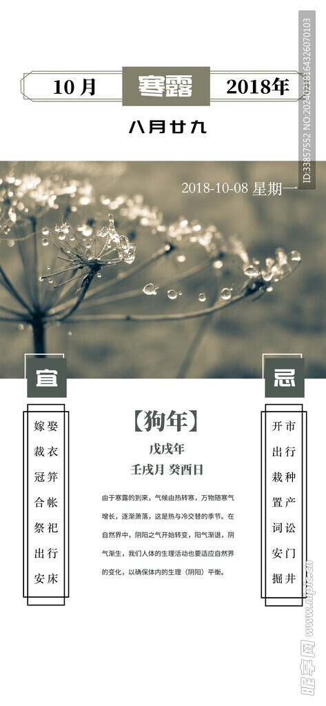 寒露海报           