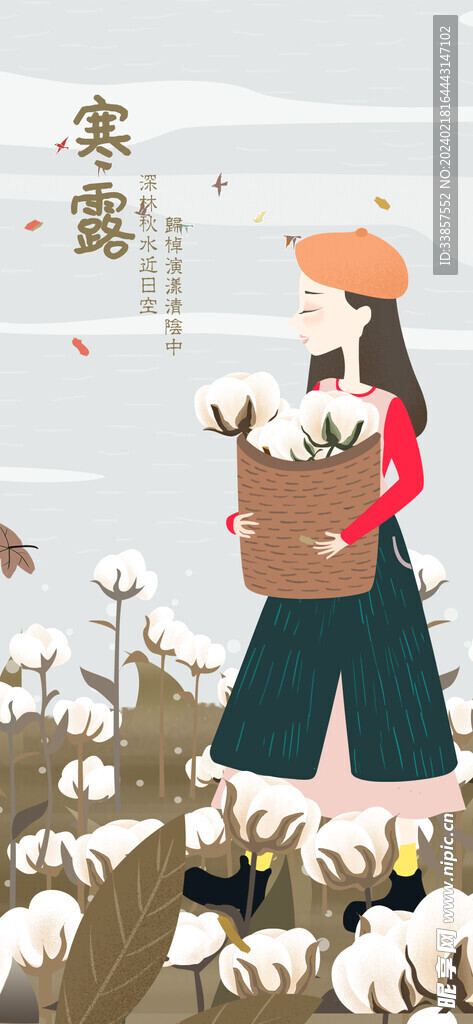 寒露海报           