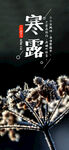 寒露海报           