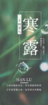 寒露海报           