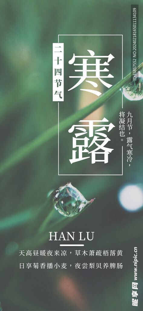 寒露海报           