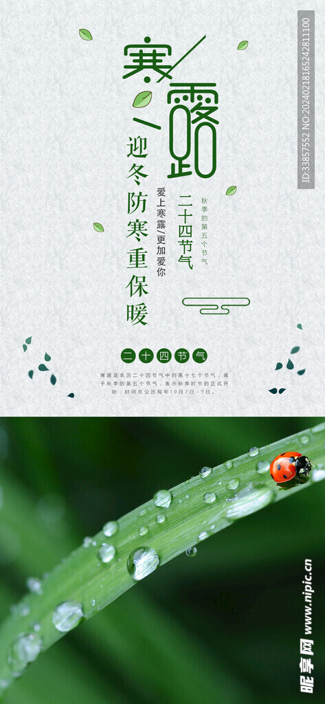 寒露海报           
