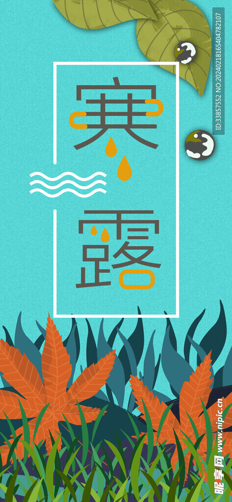 寒露海报           
