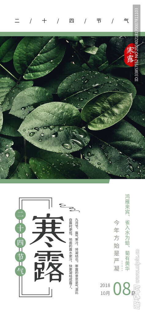 寒露海报           