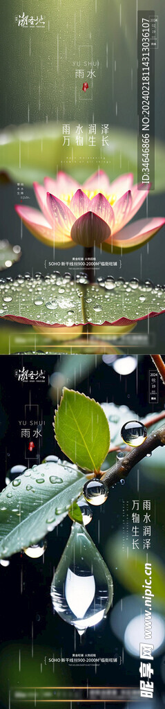 雨水节气系列海报