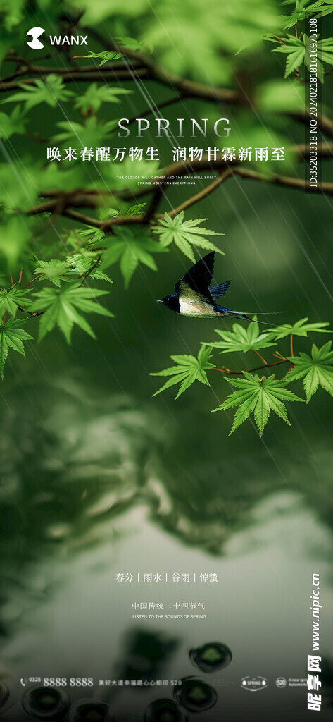 春分雨水谷雨惊蛰节气海报