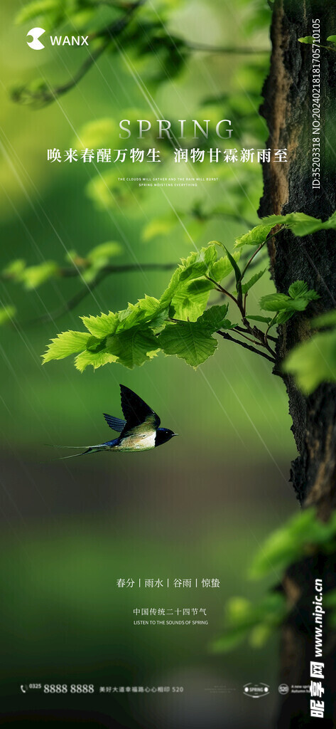 春分雨水谷雨惊蛰节气海报