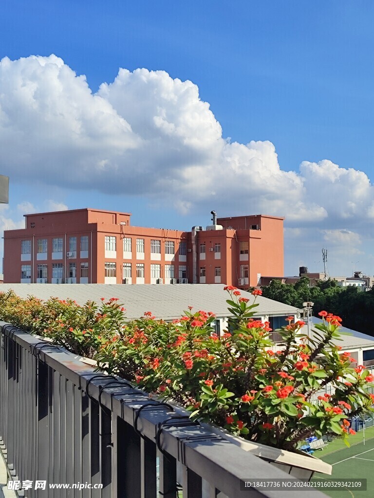 楼上风景