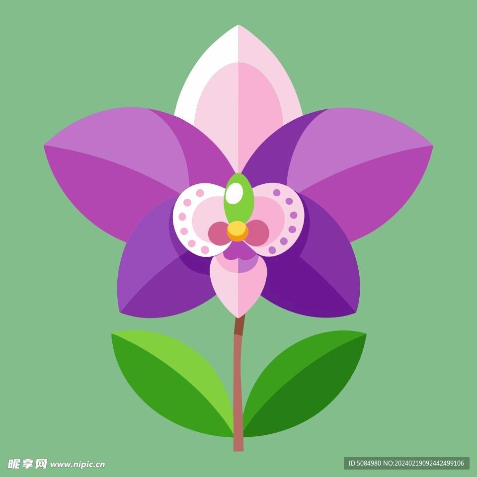 简洁的彩色节日素材兰花