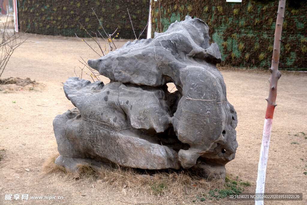 龙亭公园石头造型