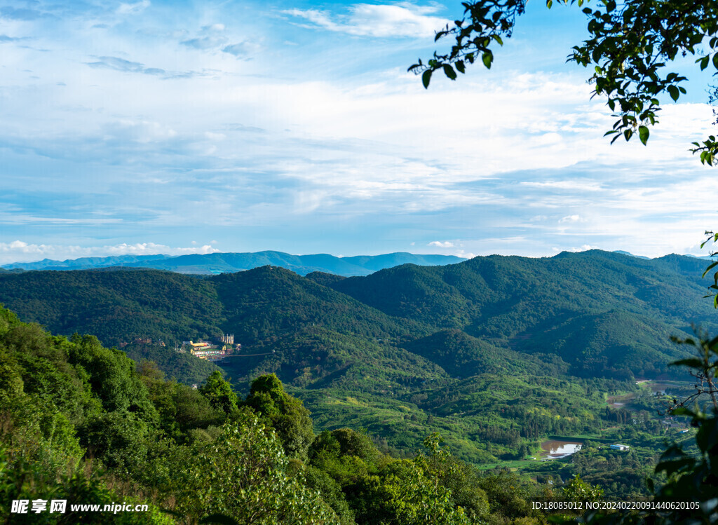 山水森林