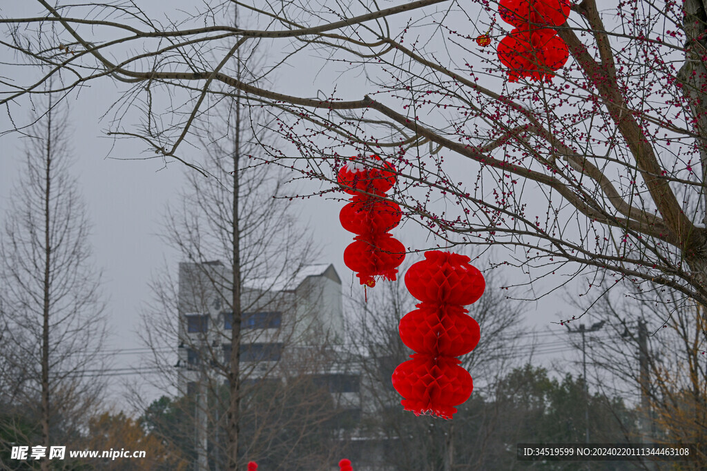 春节灯笼