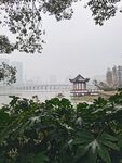 桥引雪亭