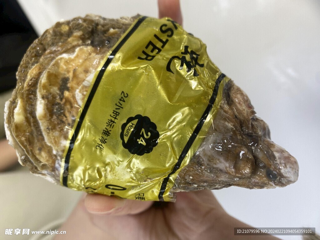 生蚝