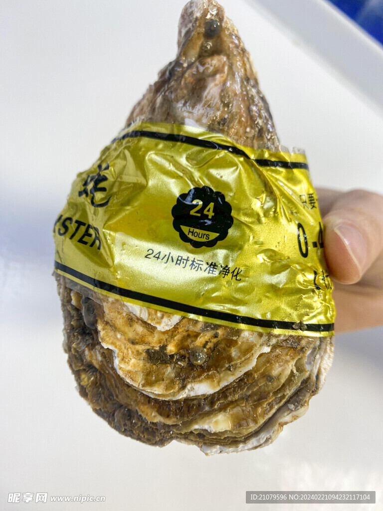 生蚝