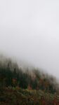 高山