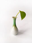 瓷瓶绿叶