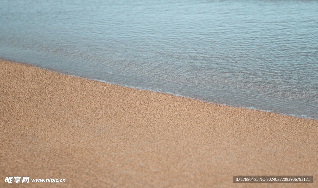 大海