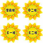 太阳花