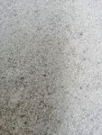 雪地