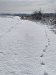 雪中脚印