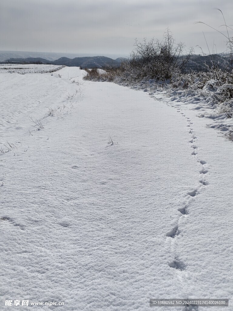 雪中脚印