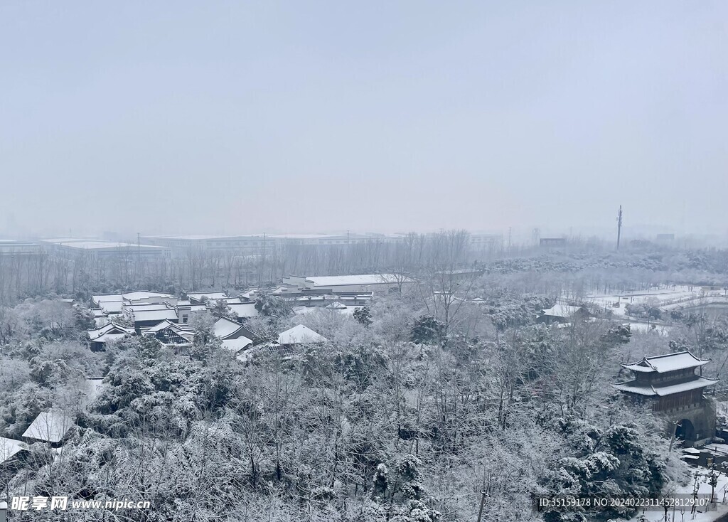 雪景