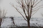 雪
