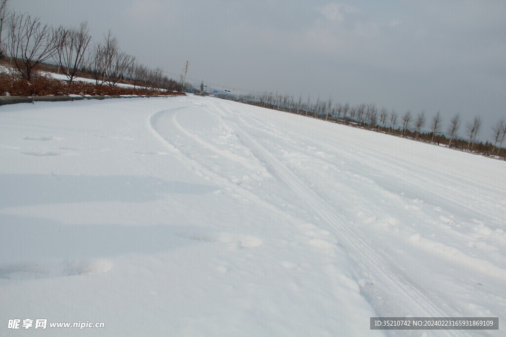 大漠之雪