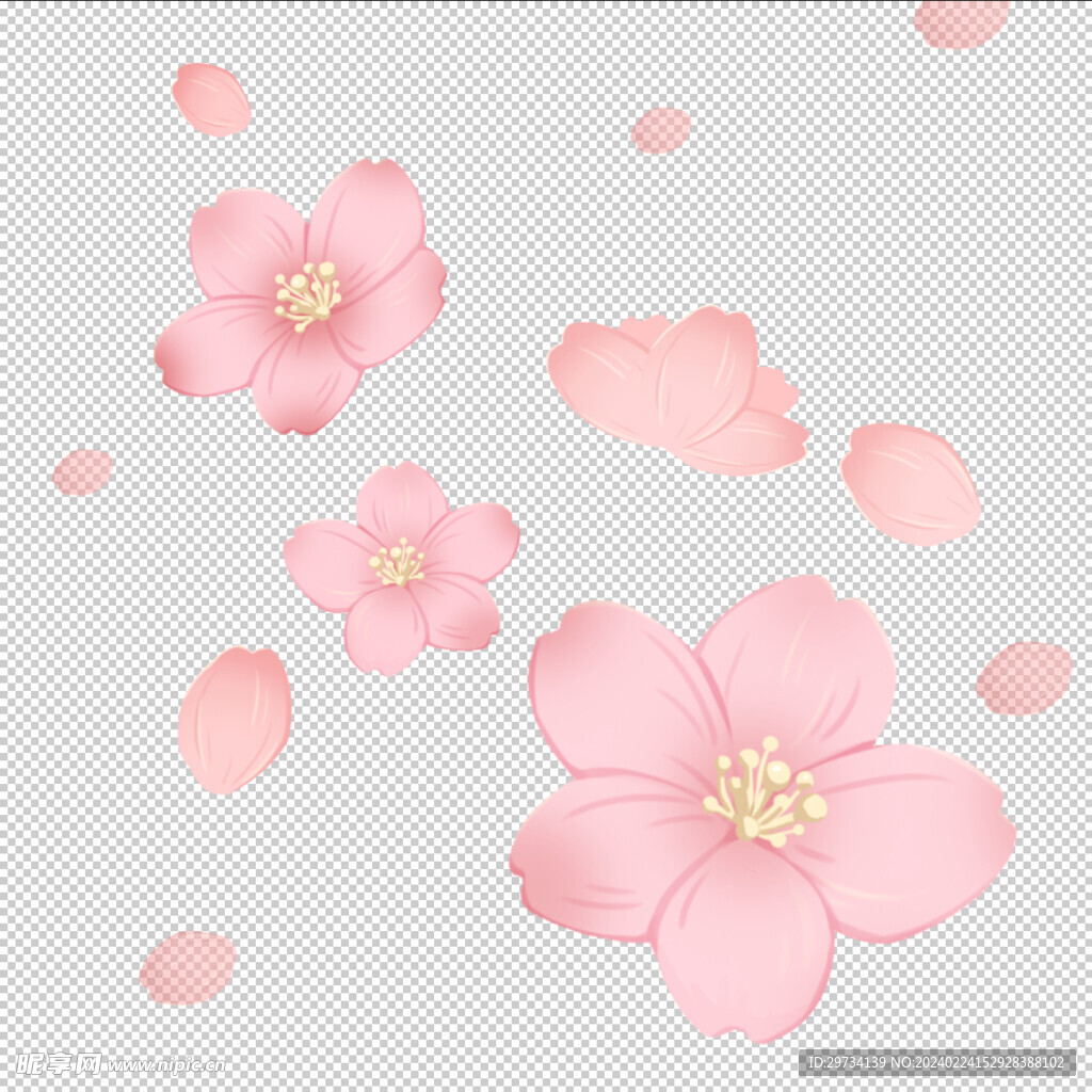 樱花