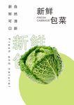 包菜海报
