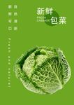 包菜 海报