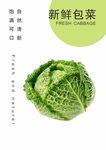 蔬菜海报