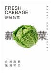 包菜海报  蔬菜海报
