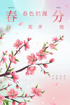 春分海报           