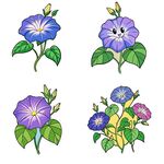 卡通风格牵牛花组图