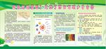 延缓衰老