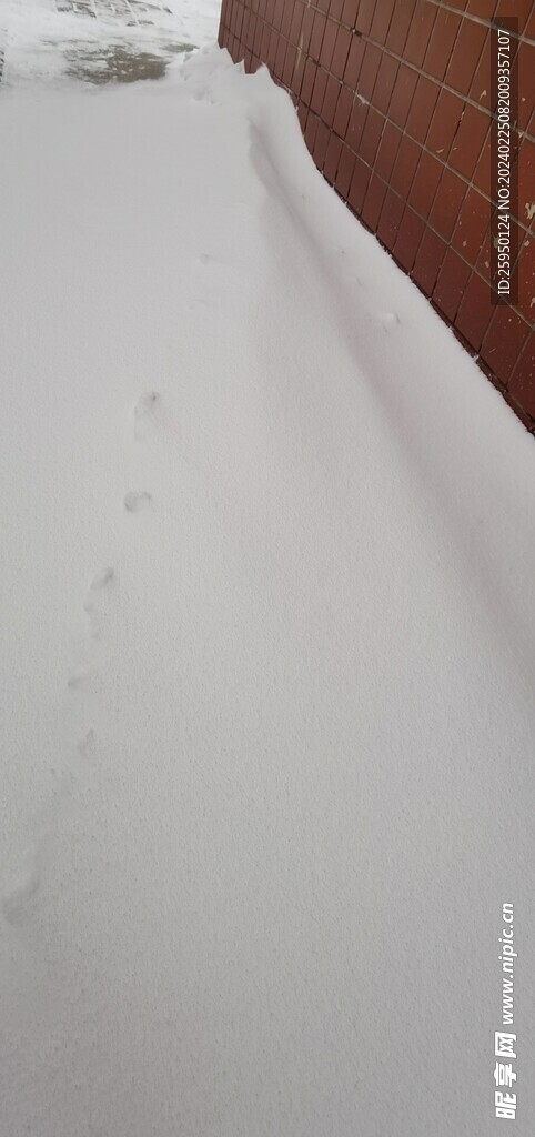 雪堆