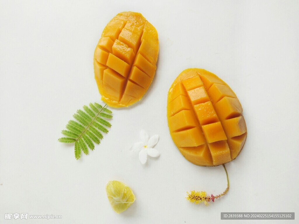 芒果