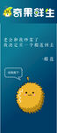 奇果鲜生