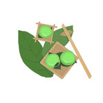 清明节素材          