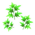 清明节素材          