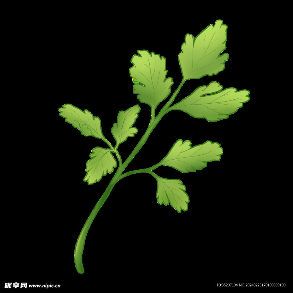 清明节素材          