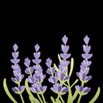 清明节素材          
